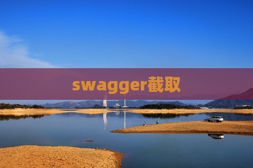 swagger截取